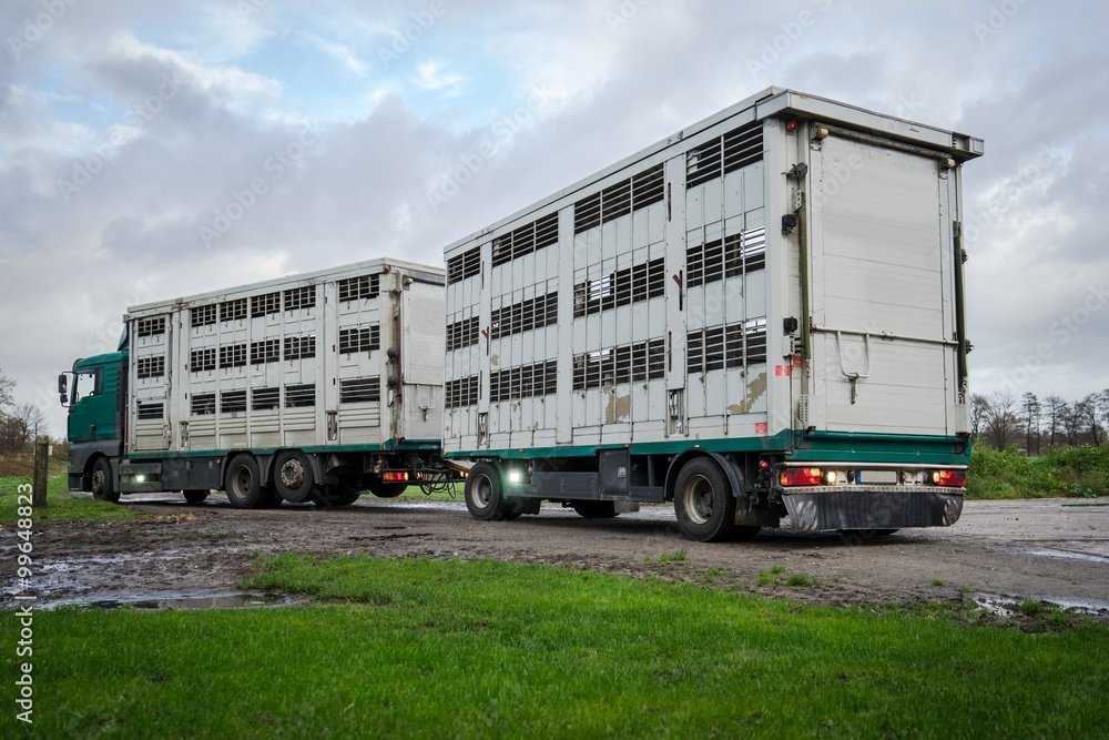 Fahrzeug / Transport